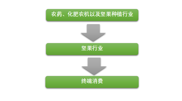 肯尼亚夏威夷果成为全球坚果行业的新生力量